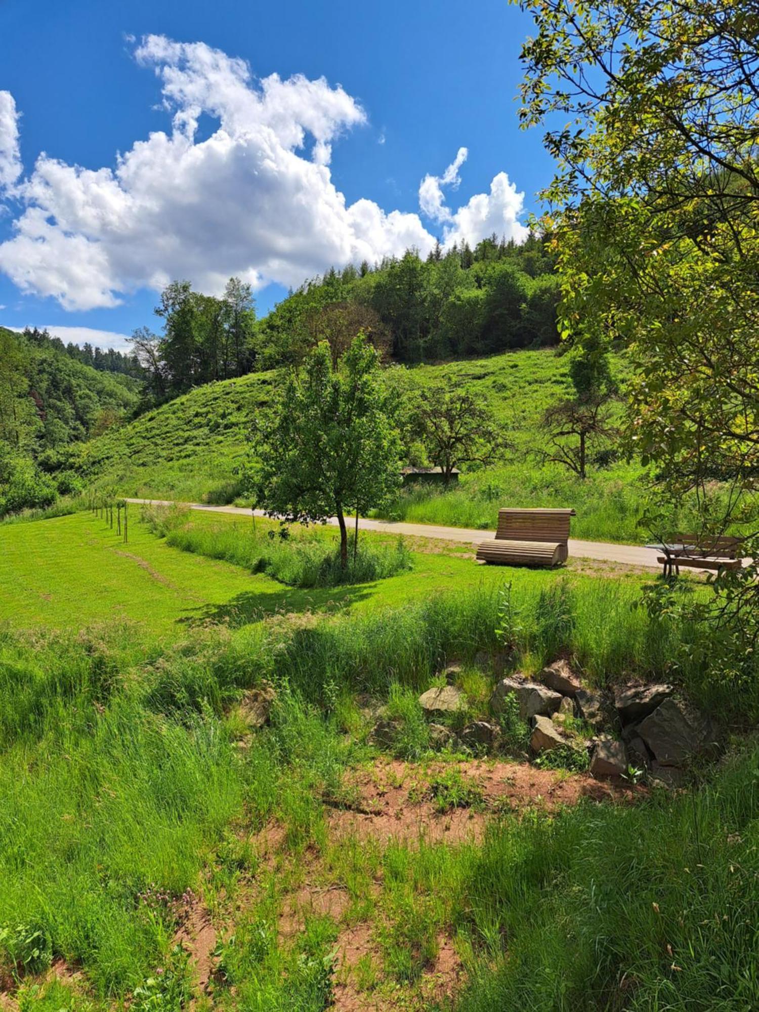 Ferienwohnung Sternenwald Alf Buitenkant foto