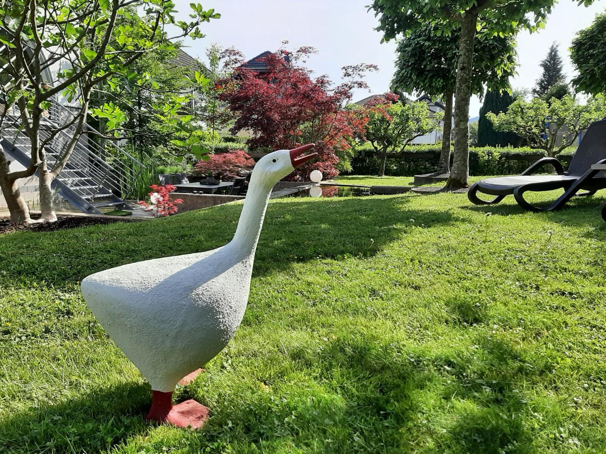 Ferienwohnung Sternenwald Alf Buitenkant foto