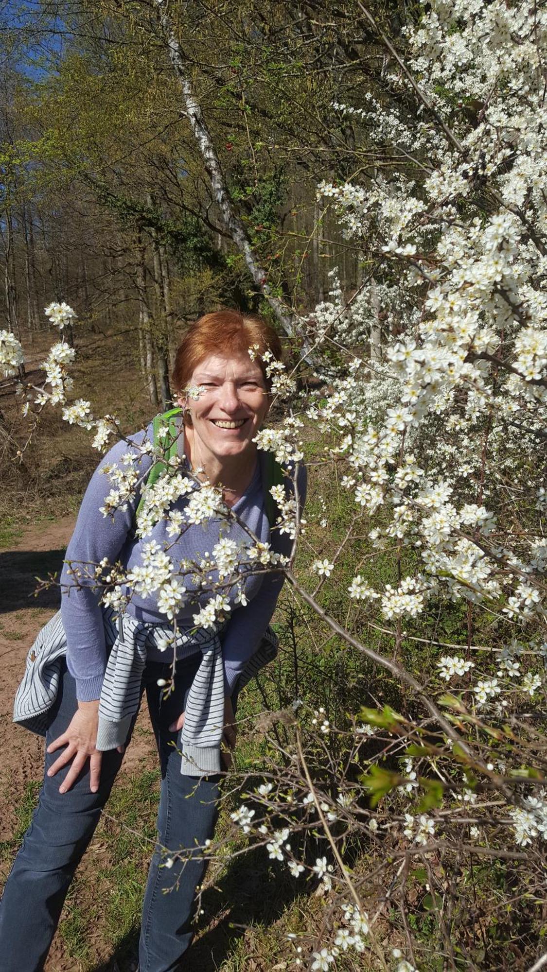 Ferienwohnung Sternenwald Alf Buitenkant foto